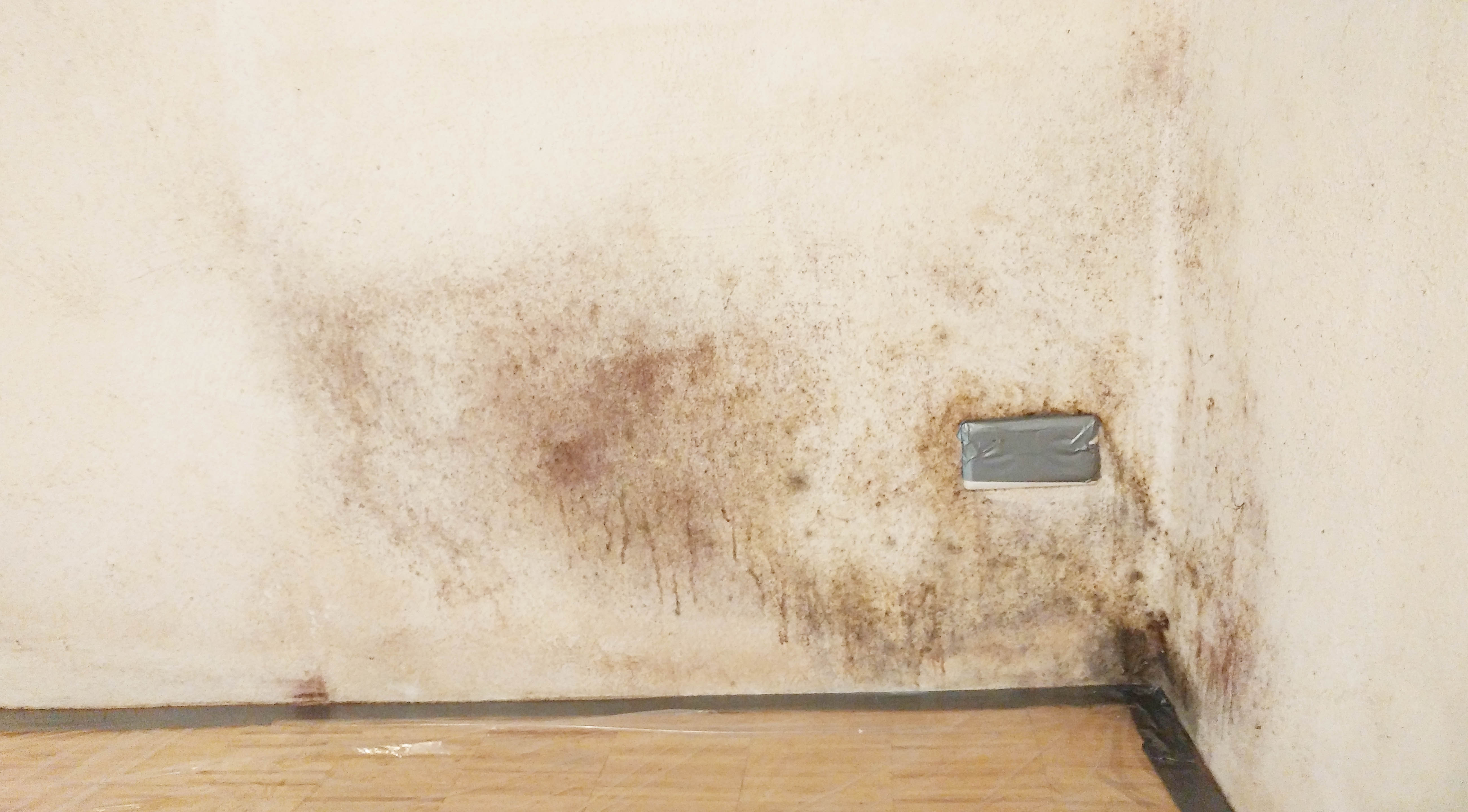 Innenwand nachher